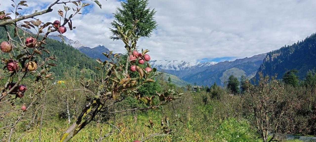 מנאלי Apple Flower With Balcony And Mountain View מראה חיצוני תמונה