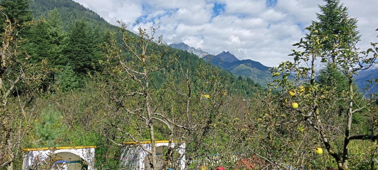 מנאלי Apple Flower With Balcony And Mountain View מראה חיצוני תמונה